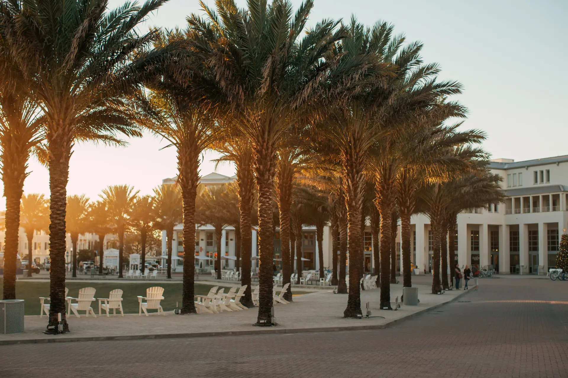 Sunset view of Palm Trees in Seaside Florida